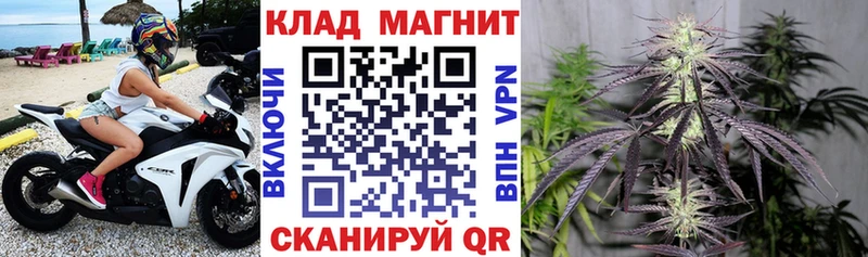 Купить закладку Альфа ПВП  COCAIN  МЕФ  Гашиш  Верхний Уфалей