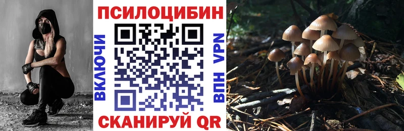 Галлюциногенные грибы мицелий  Купить закладки  Верхний Уфалей 